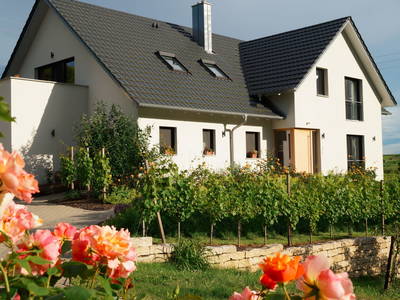 Bild 2 aus  Maienbrunnenhof