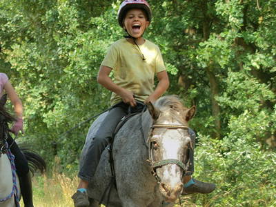 Bild 7 aus  Pension-Ponyhof Hartmann