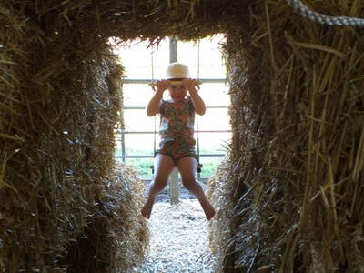 Bild 18 aus  Biolandhof-von Agris