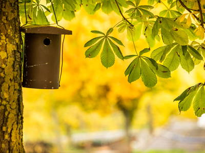 Bild 48 aus  Gut Neuwerk