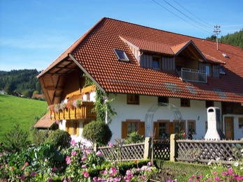 Bauerngarten im Vordergrund