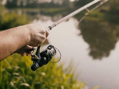 Bild 25 aus  Simmernhof Mossendorf