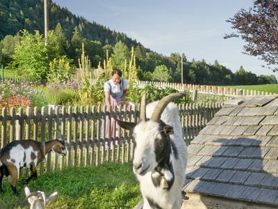 Bild 65 aus  LandSelection  *  WAIBELHOF *  AllgäuerAlpenWellness