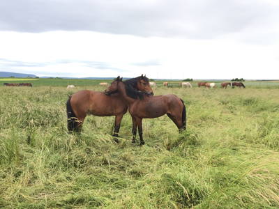 Bild 12 aus  Lautersheimer Gutshof