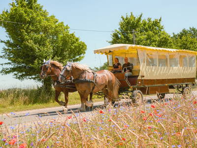 Bild 24 aus  Bauer Korl's Golchener Hof