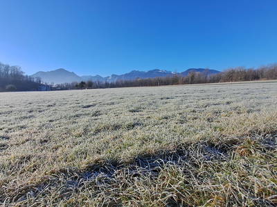 Bild 28 aus  Niederauer Hof