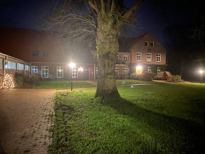 Bild 16 aus  Der Wilhelminenhof