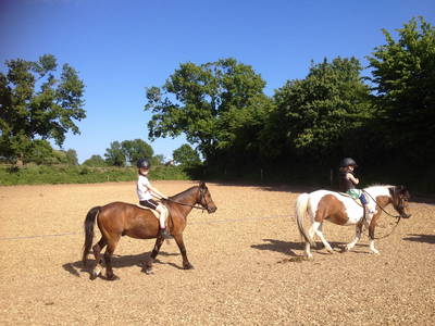 Bild 23 aus  Ferienhof Thomsen