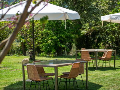 Bild 35 aus  Tenuta Il Cicalino