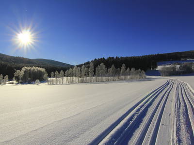 Bild 98 aus  Paulas Bauernhof im Bayerischen Wald