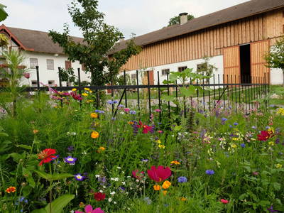 Bild 8 aus  Biohof Pürten