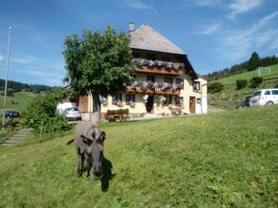 Bild 12 aus  Sunmattehof