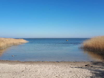 Bild 10 aus  Bernsteinreiter Barth