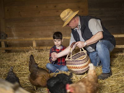 Bild 5 aus  Landhaus Schulte-Göbel
