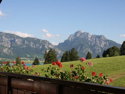 Bild 6 aus  "Salenberghof"