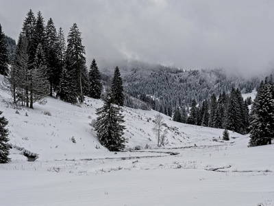 Das Holzschlagbachtal in Muggenbrunn