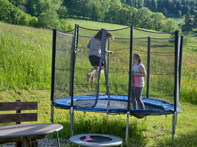 Bild 10 aus  Bauernhof Rützler