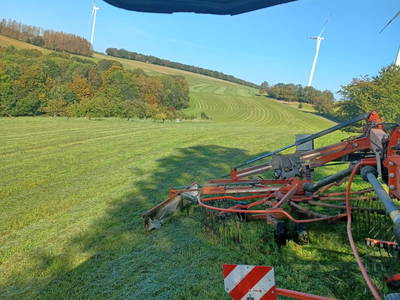 Bild 47 aus  Marienhof