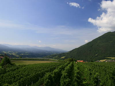 Bild 11 aus  Waldharthof