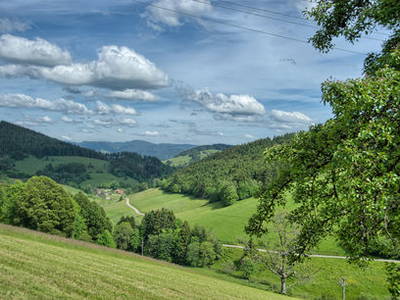 Bild 24 aus  Bauernhof Rützler