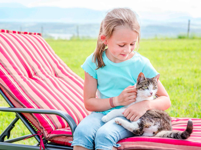 Bild 14 aus  Panoramahof