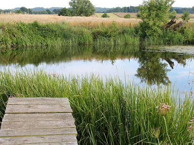 Bild 16 aus  Ostseeferienhof Tralau