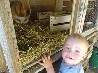 Bild 7 aus  BIO Ferienhof Schütterle