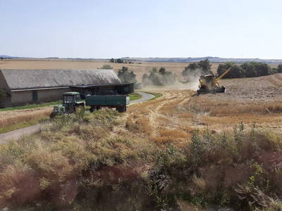 Bild 8 aus  Ferienbauernhof Neumühle