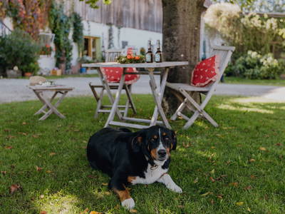 Bild 16 aus  Bernwieserhof