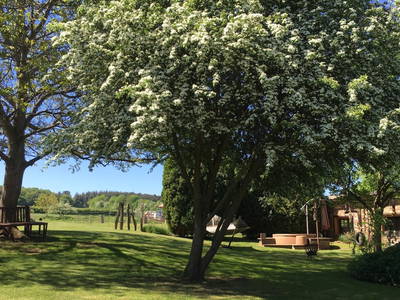 Blick in der Garten mit Lehmsauna