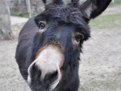 Bild 63 aus  LandSelection Rüsterhof