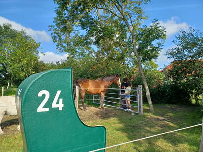 Bild 50 aus  Ferienhof Nordorfer Grashaus
