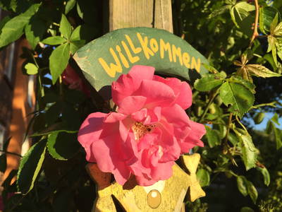 Bild 78 aus  Ahoi Ostsee:  Bauernhof und OstseeUrlaub - Ferienhof Becker in Dahme