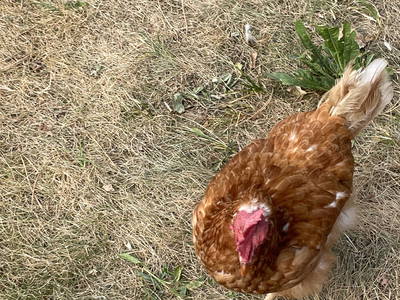 Bild 16 aus  Flussbad an der alten Papierfabrik