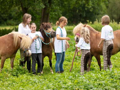 Bild 24 aus  Hof in Liebesdorf