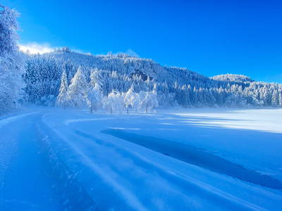 Klarer eisiger Wintertag am Talhof