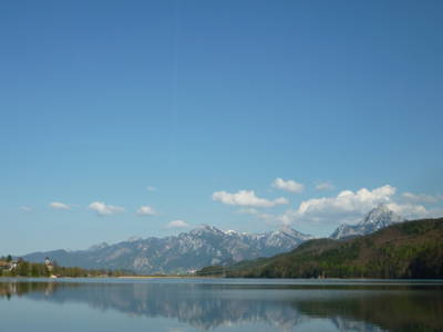 Bild 22 aus  Am Holderbusch