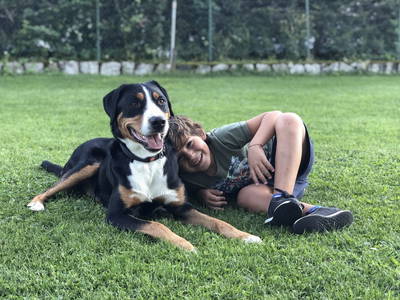 Bild 13 aus  Uetzenhof