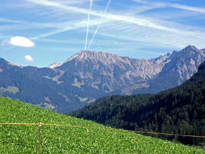 Bild 24 aus  Gmeinder's Landhaus