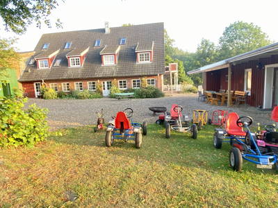 Bild 69 aus  Ferienhof Messer  Bauernhofurlaub  Ostseenähe  Ponys