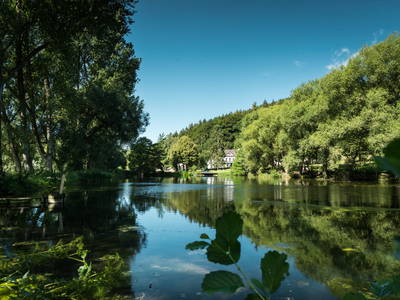 Bild 25 aus  Gut Neuwerk