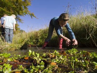 Bild 20 aus  Hof Heite