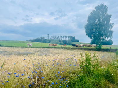 Bild 28 aus  Ferienhaus Winterbergblick, Sauna und Boulderraum im Haus, 2 EBikes im Verleih