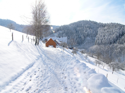 Bild 61 aus  Ferienhaus - Ferienwohnungen Müllerbauernhof im Schwarzwald.