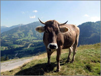 Bild 6 aus  Wendlarhof