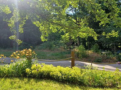 Bild 9 aus  Kunstgut Krahne