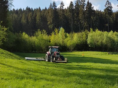 Bild 33 aus  Schellen Hof