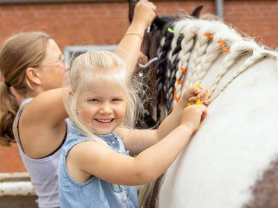 Bild 23 aus  Ferienhof Frieslandstern