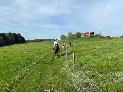 Bild 5 aus  Fürstnerhof-Reiterhof
