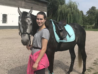 Bild 5 aus  Nübbelhof